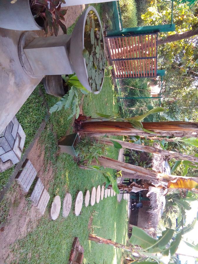 Waterway Garden Villa Polonnaruwa Eksteriør billede