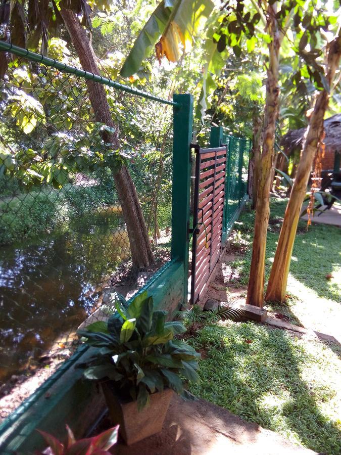 Waterway Garden Villa Polonnaruwa Eksteriør billede