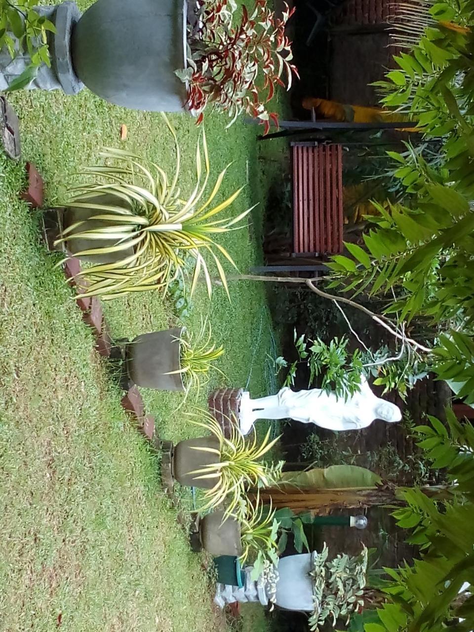 Waterway Garden Villa Polonnaruwa Eksteriør billede