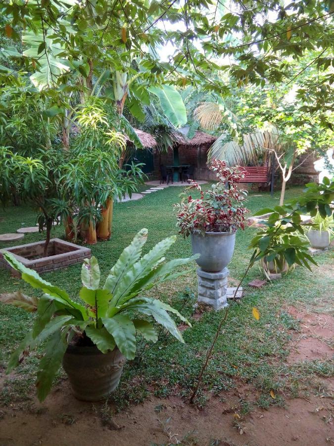 Waterway Garden Villa Polonnaruwa Eksteriør billede